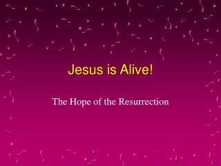 Jesus is Alive!