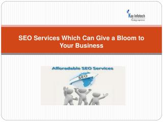 Affordable SEO Services India