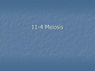 11-4 Meiosis