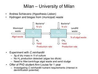 Milan – University of Milan