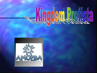 Kingdom Protista