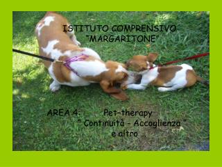 AREA 4: Pet–therapy “ Continuità - Accoglienza ”