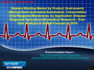 Aarkstore.com - Western Blotting Market