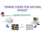 SPARSE CODES FOR NATURAL IMAGES