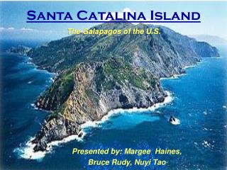 Santa Catalina Island