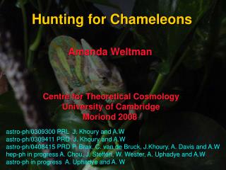 Hunting for Chameleons