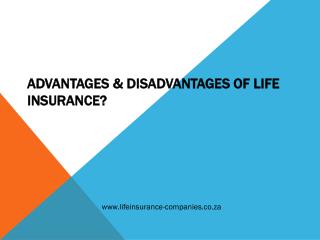 everything you need to know about life insurance