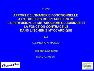 THESE APPORT DE L’IMAGERIE FONCTIONNELLE A L’ETUDE DES COUPLAGES ENTRE LA PERFUSION, LE METABOLISME GLUCIDIQUE ET LA