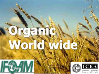Organic World wide