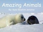This week we will read Amazing Animals, by Kate Boehm Jerome. As we read, we will compare and contrast information in th