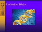 La Gen tica B sica