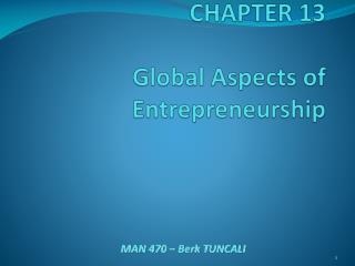 CHAPTER 13 Global Aspects of Entrepreneurship