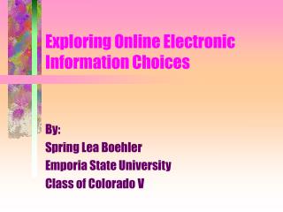 Exploring Online Electronic Information Choices