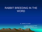 RABBIT BREEDING IN THE WORD