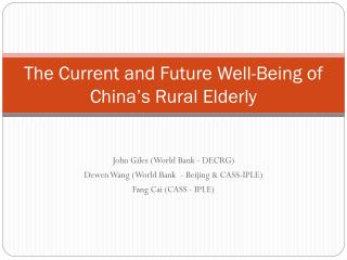 The Current and Future Well-Being of China’s Rural Elderly