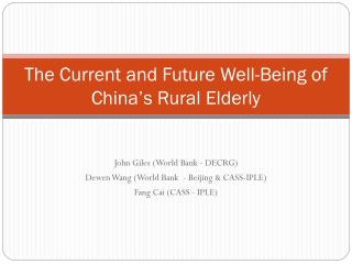 The Current and Future Well-Being of China’s Rural Elderly