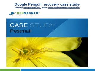 Google Penguin Recovery Case Study