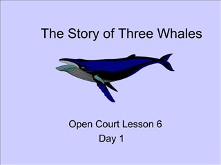 The Story of Three Whales