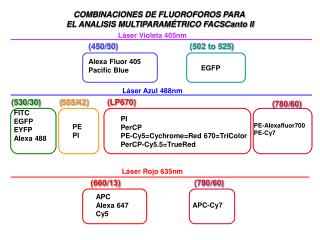 COMBINACIONES DE FLUOROFOROS PARA EL ANALISIS MULTIPARAMÉTRICO FACSCanto II