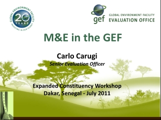 M&amp;E in the GEF