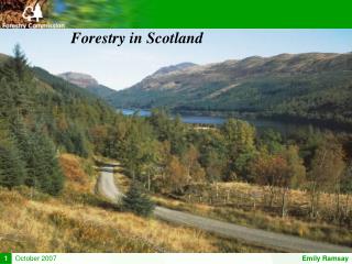 Forestry in Scotland