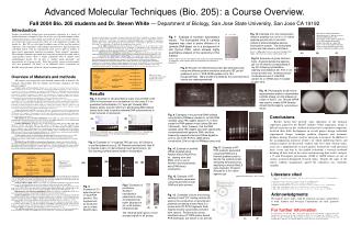 Acknowledgments We thank D. Leeve and L. Goff for technical assistance, and all those at both Ambion and Novagen Corpora