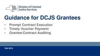 Guidance for DCJS Grantees