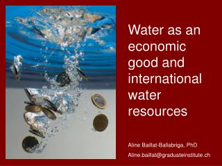 Water as an economic good and international water resources