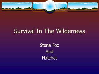 Survival In The Wilderness
