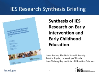 IES Research Synthesis Briefing