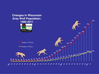 Changes in Wisconsin Gray Wolf Population: 1980-2011