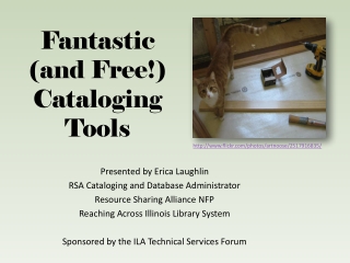 Fantastic (and Free!) Cataloging Tools