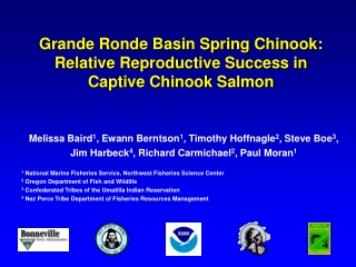 Grande Ronde Basin Spring Chinook: Relative Reproductive Success in Captive Chinook Salmon