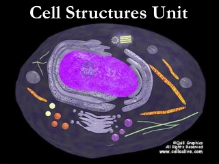 Cell Structures Unit