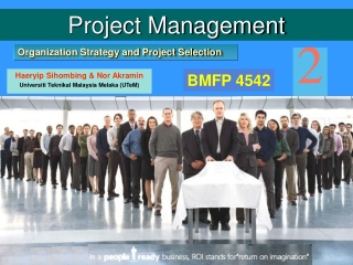 Organization Strategy and Project Selection