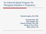 An Internet-Based Program for Managing Diabetes in Pregnancy