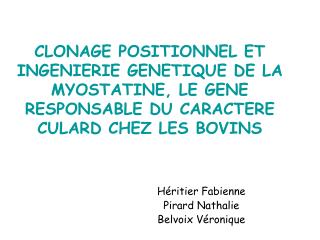 CLONAGE POSITIONNEL ET INGENIERIE GENETIQUE DE LA MYOSTATINE, LE GENE RESPONSABLE DU CARACTERE CULARD CHEZ LES BOVINS