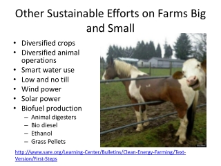 Other Sustainable Efforts on Farms Big and Small