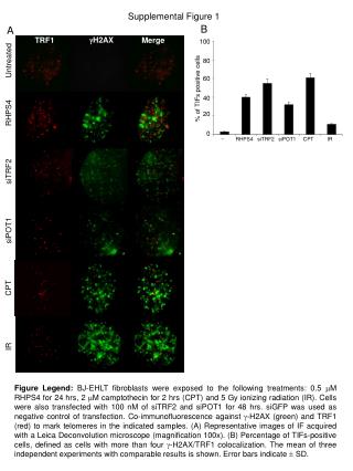 Supplemental Figure 1