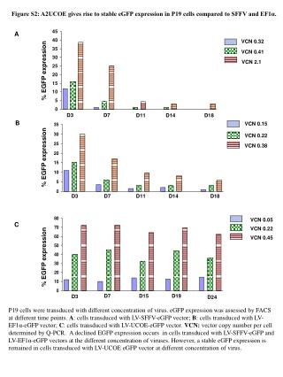 Figure S2: A2UCOE gives rise to stable eGFP expression in P19 cells compared to SFFV and EF1α.