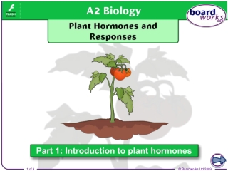 Responses to environmental changes
