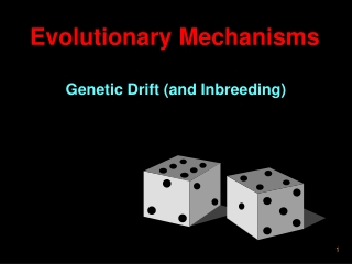 Evolutionary Mechanisms