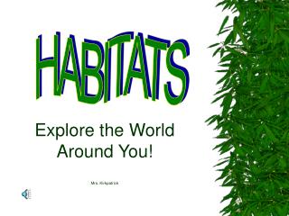 Explore the World Around You! Mrs. Kirkpatrick