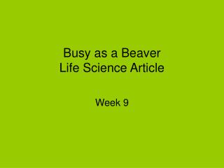 Busy as a Beaver Life Science Article