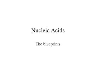 Nucleic Acids