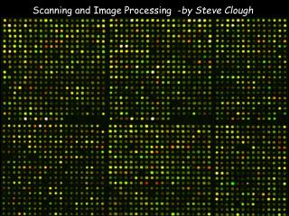 Scanning and Image Processing - by Steve Clough