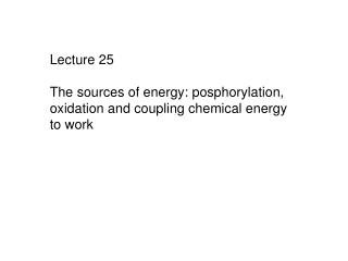 Lecture 25 The sources of energy: posphorylation, oxidation and coupling chemical energy to work