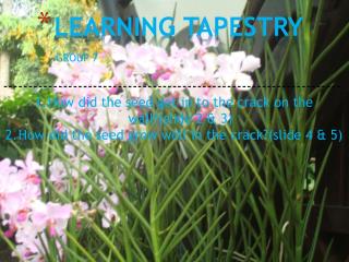 LEARNING TAPESTRY