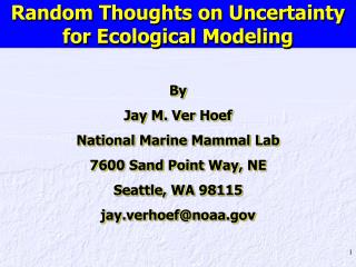 Random Thoughts on Uncertainty for Ecological Modeling