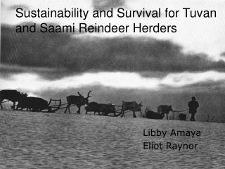 Sustainability and Survival for Tuvan and Saami Reindeer Herders